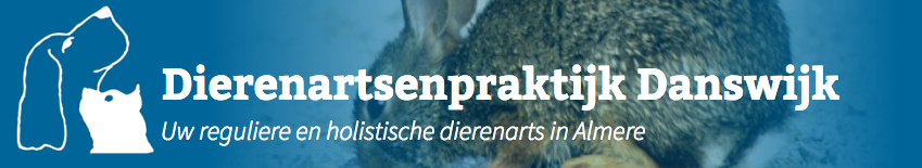 danswijk