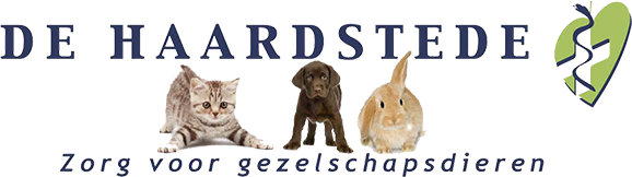 haardstede