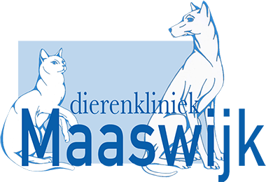 maaswijk