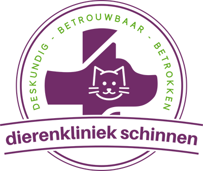 schinnen