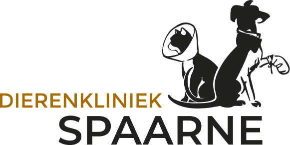 spaarne