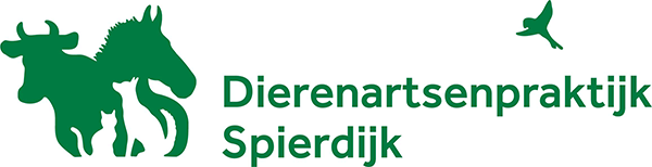 spierdijk